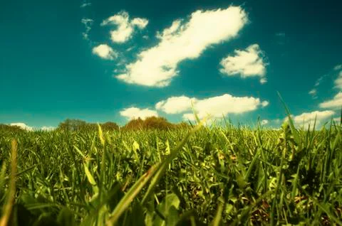 In the field Fotos de archivo