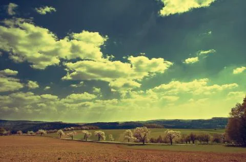 In the field Foto stock