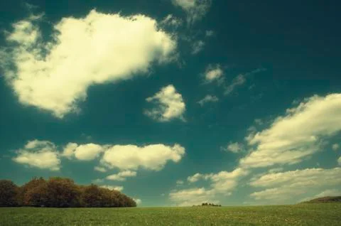 In the field Stock Photos