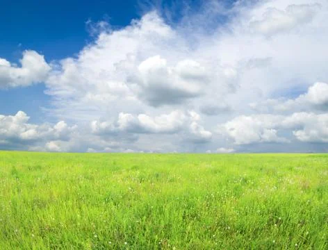 Field Stock Photos