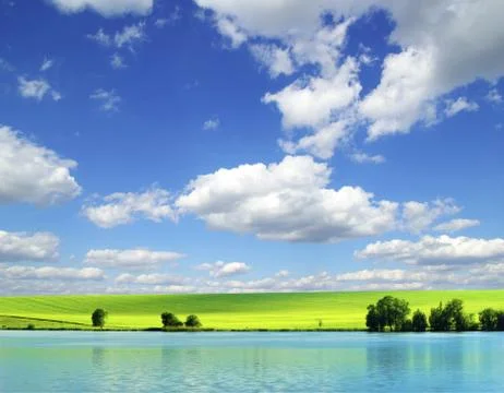 Field Foto stock