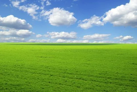 Field Stock Photos