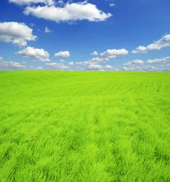 Field Stock Photos