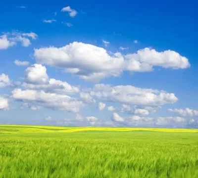 Field Stock Photos