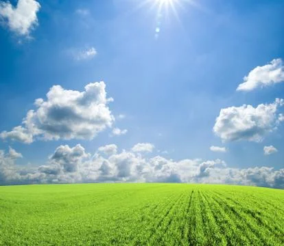 Field Foto stock