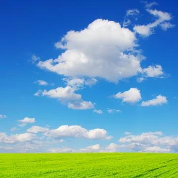 Field Stock Photos