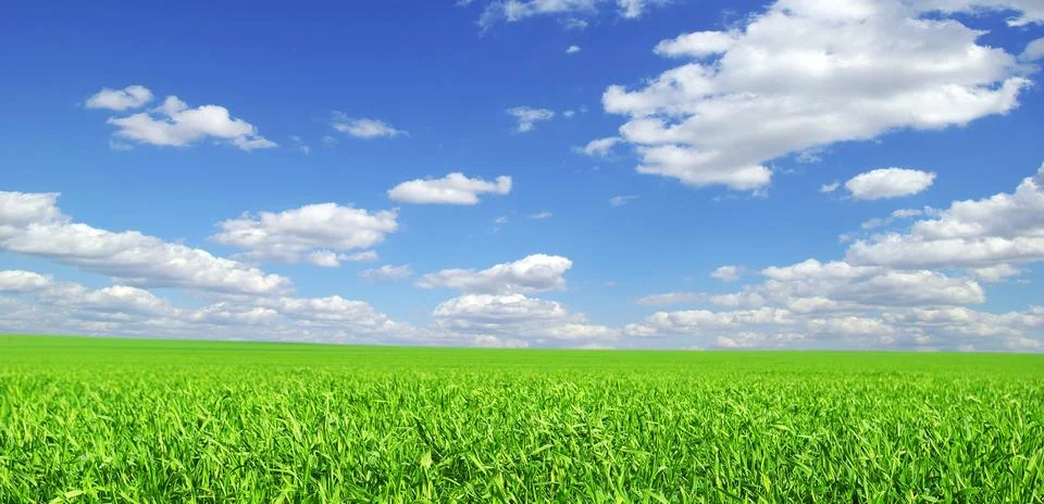 Field Stock Photos