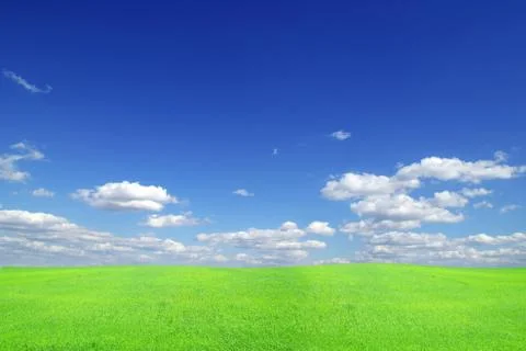 Field Stock Photos