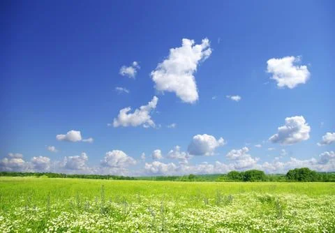 Field Foto stock