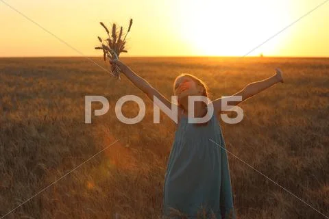 Field Stock Photos