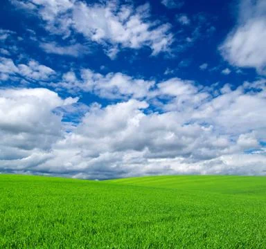 Field Stock Photos