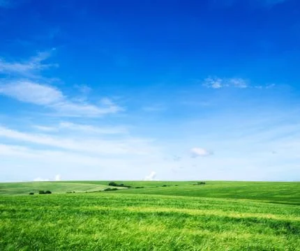 Field Stock Photos