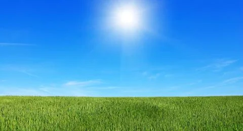 Field Stock Photos