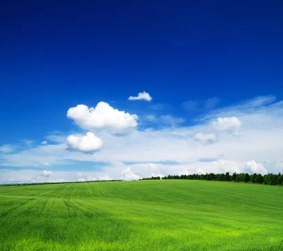 Field Stock Photos