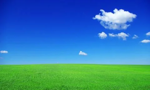 Field Stock Photos
