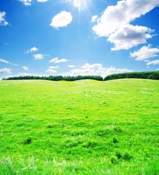 Field Stock Photos