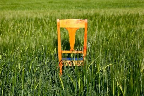 On the field Stock Photos