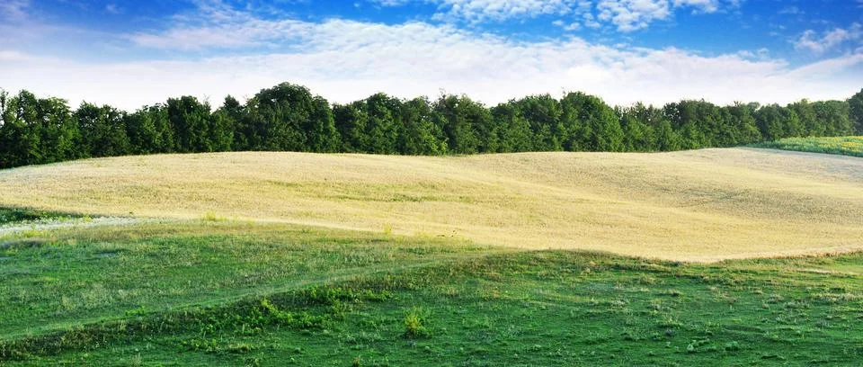 Field 写真素材