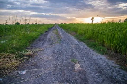 A field Stock Photos