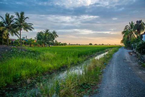 A field Stock Photos