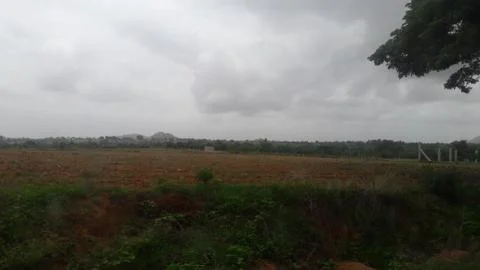 A field 스톡 사진