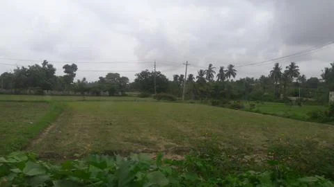 A field 스톡 사진