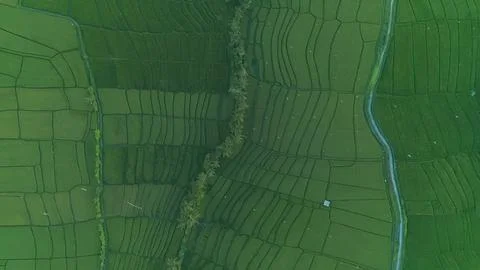 Field Stock Photos