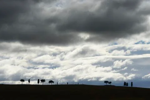 Field with Pine and Cypress Trees and Storm Clouds, San Quirico d'Orcia, Val Foto stock