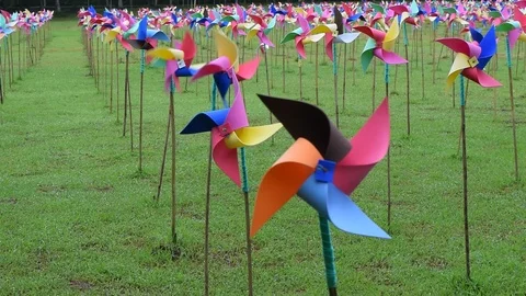 Field of pinwheel Stock Footage 90784323