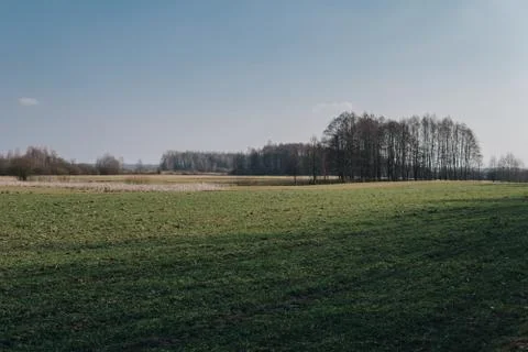 Field on a plain Foto stock