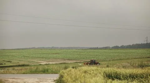 A field planted with wheat Stock Photos