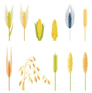 Field plants in a flat style. Illustrazione stock