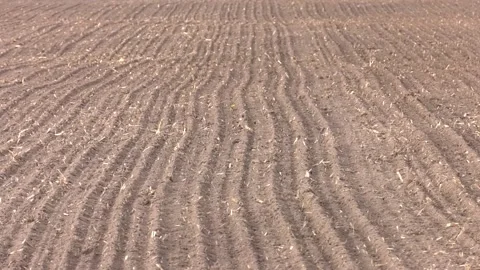 Field plowed for sowing spring crops in spring. Video stock 189168990