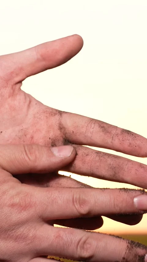 Field plowing techniques, composting for soil, farm financial management Stock Footage 277512184