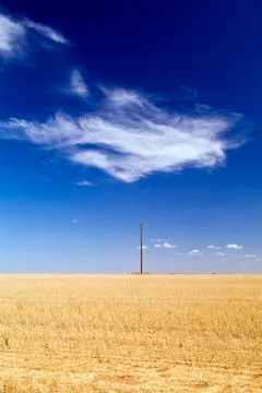 Field with pole 스톡 사진