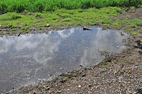 Field pool Foto stock