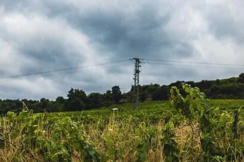 Field with Power Line Stock Photos