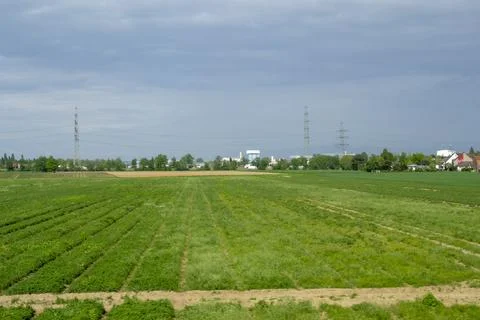 Field with production in the background Stock Photos