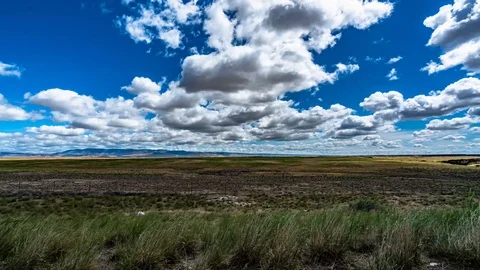 Field With Puffy Clouds and Blue Sky Time Lapse Stock Footage 91916017