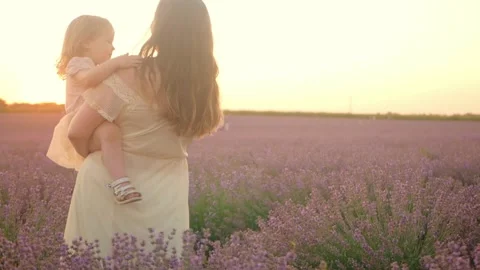 A field of purple lavender at sunset. Video stock 157512593