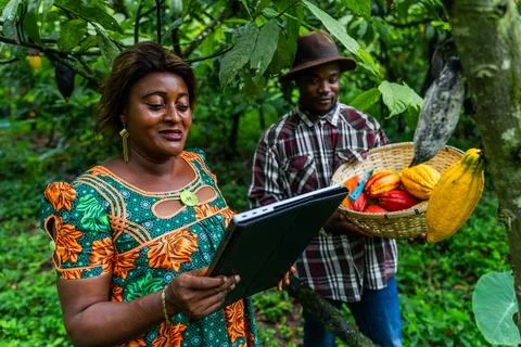 Field quality control by using the tablet and the picker holds the basket o.. Foto stock