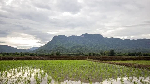 Field with rain on mountain, timelapse video Stock Footage 78740380