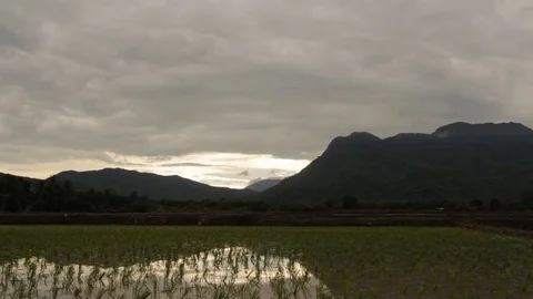 Field with rain on mountain,HD video Stock Footage 80083871