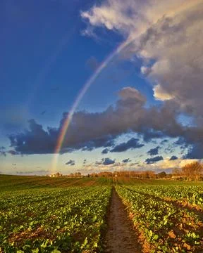 Field with Rainbow and dramatic gray sky with clouds landscape Stock Photos