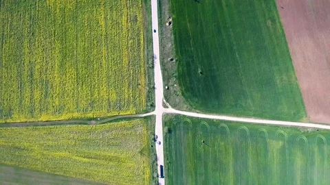 Field of rapeseed Aerial View Stock Footage 89036846