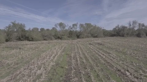 Field Raw Stock Footage 102691323