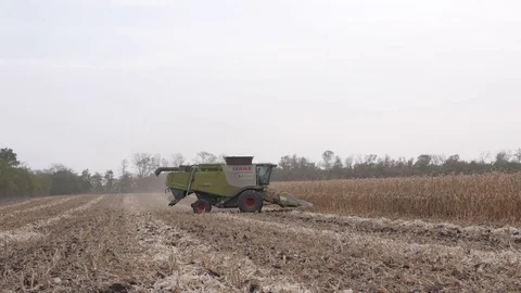 The field is ready to harvest corn Stock Footage 73944518