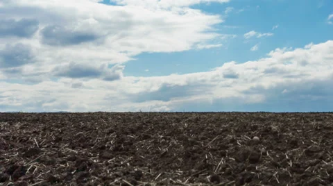Field Ready For Planting Wheat Stock Footage 34049566