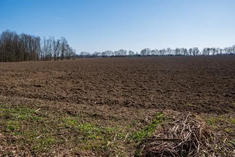 Field ready for seedling in spring Stock Photos