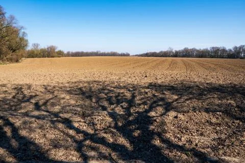 Field ready for seedling in spring Stock Photos